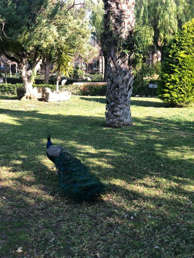 La Zenia Beach Bungalow Hotell Orihuela Eksteriør bilde